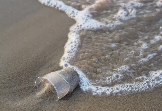 Hey! The Plastic Bottle that you Throw away does not actually go Far