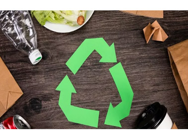 Explore the Secrets in Recyclable Trash Cans!