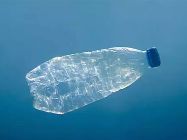 Please Cast a Drink Bottle to Save Marine Life